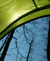 In der Strandmuschel am Waldsee