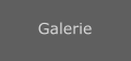 Galerie