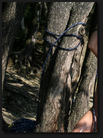 Lianenschaukel - Fotosession für Elfen-Geschichte "Hinter dem Wasserfall" von Oliver Jungjohann